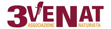 Carnevale in Veneto 2019 logo