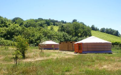 Nuova convenzione – La Yurta nel Verde